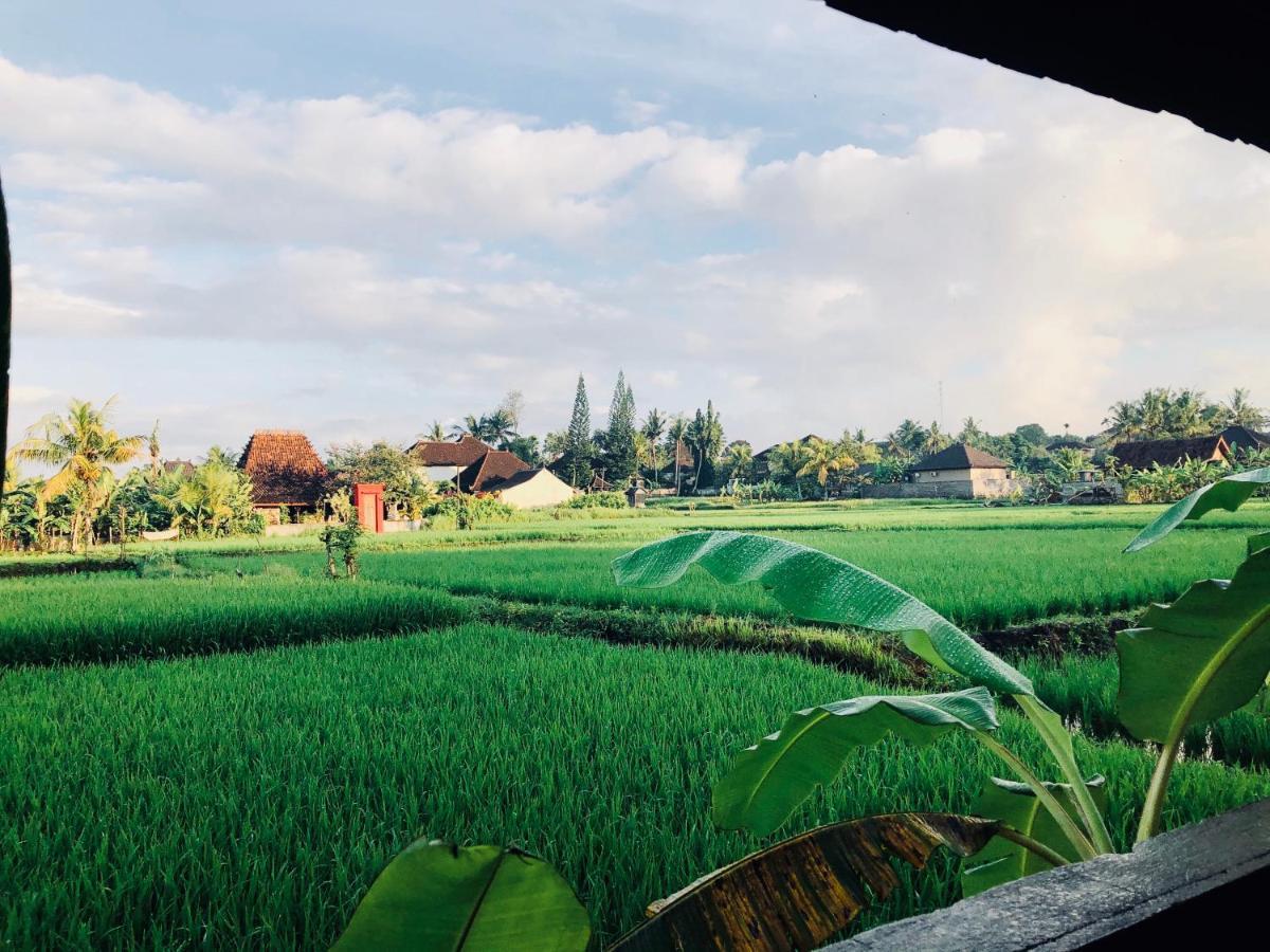 Umagama villas in Ubud Exteriör bild
